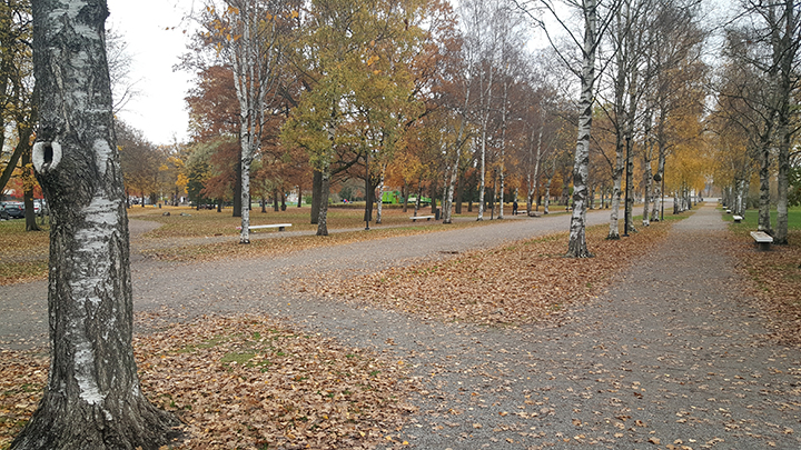 Kävelykatu puistossa.