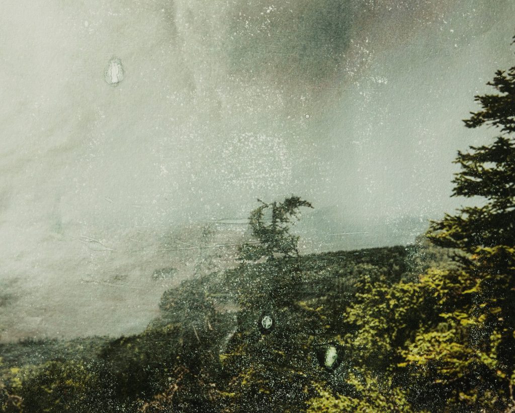 Kuvassa näkyy Joel Karppasen luontokuvaa, metsämaisemaa, jäljittelevä teos