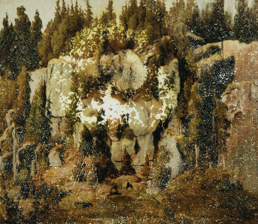 Kuvassa näkyy Joel Karppasen luontokuvaa, kalliomaisemaa, jäljittelevä teosl