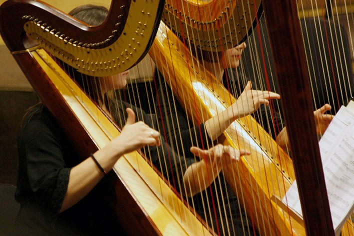 Kuvassa näkyy kaksi harppua ja niiden soittajat osittain. Kummankin kädet näkyvät selvästi näppäilemässä kieliä.