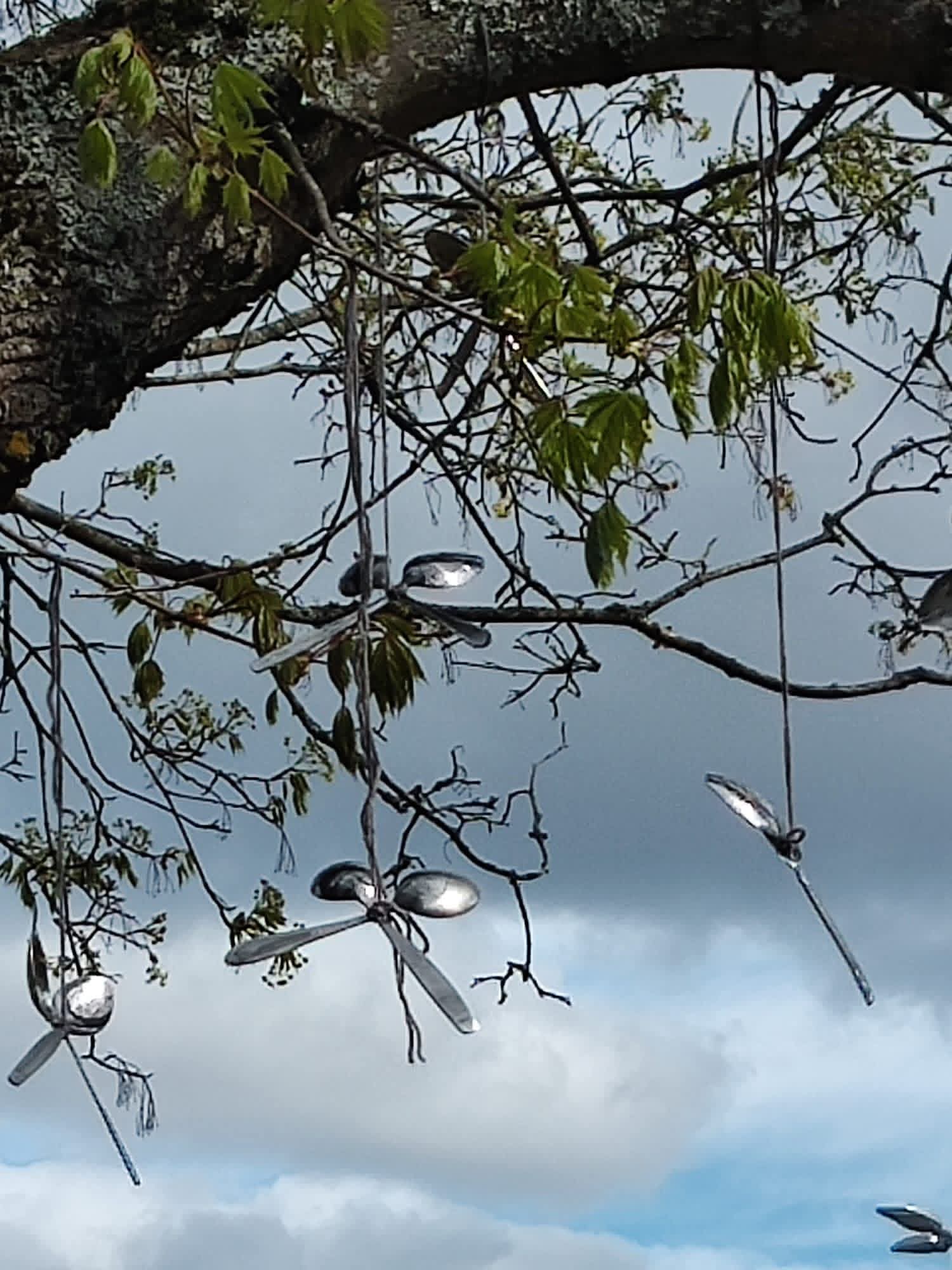 Puussa roikkuu lusikoita.