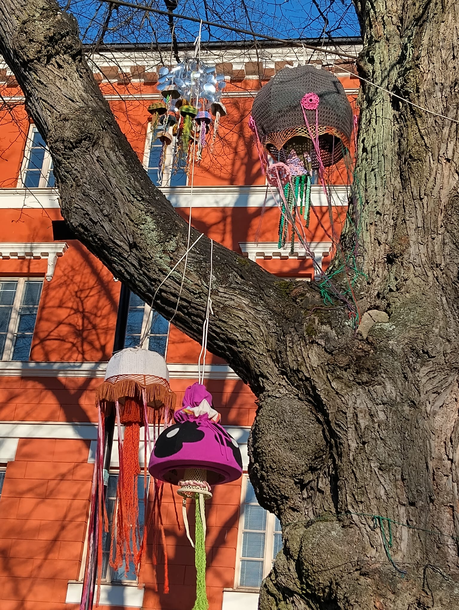 Puuhun on sidottu käsityönä tehtyjä meduusoja.