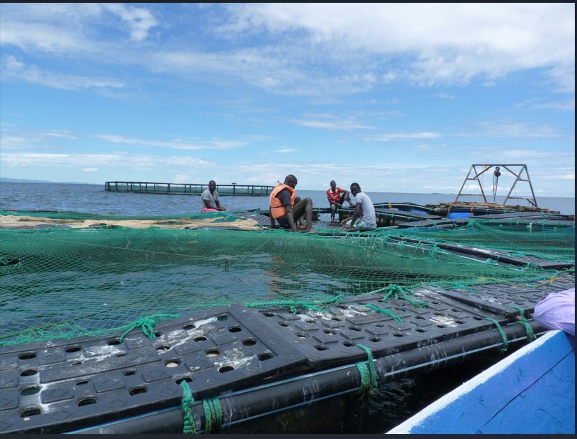 People fishing at lake.