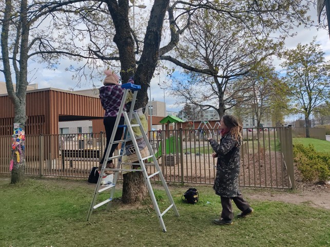 Henkilö on tikapuille, jotka ovat puun vieressä. Hän kiinnittää puuhun jotain, toinen henkilö seuraa vieressä. Takana aita ja rakennuksia.
