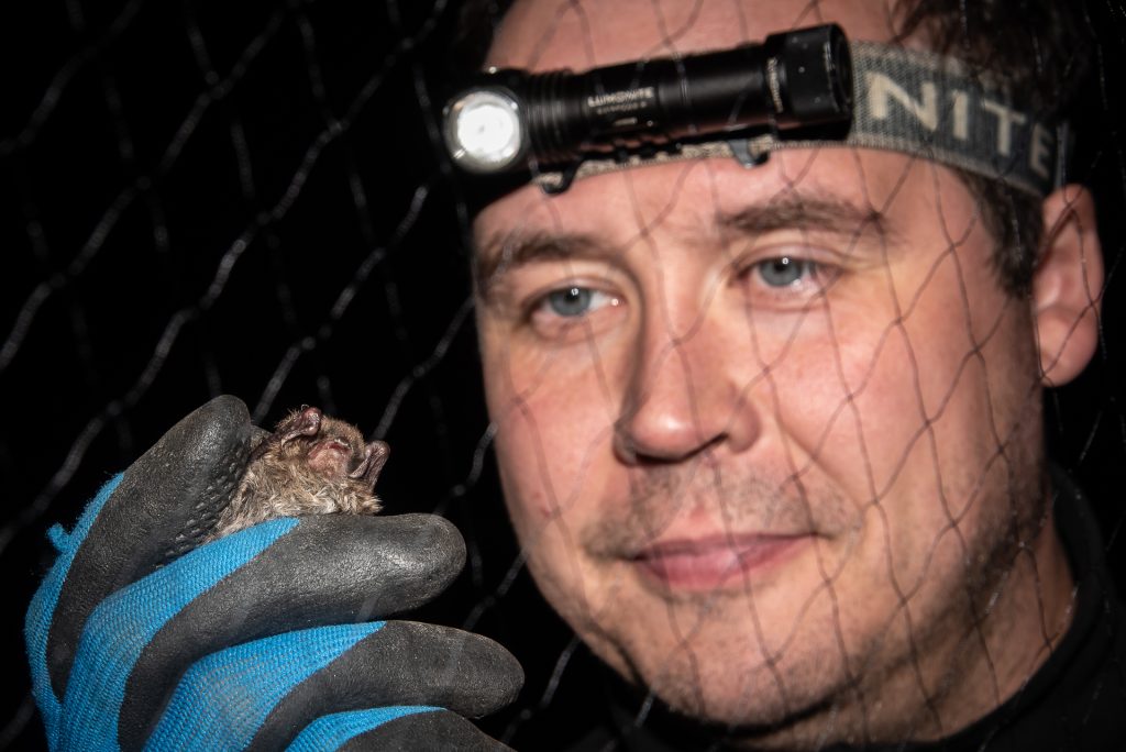 Ville Vasko ja isoviikisiippa