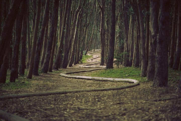 Photo by James Forbes on Unsplash https://unsplash.com/@vespir?utm_source=unsplash&utm_medium=