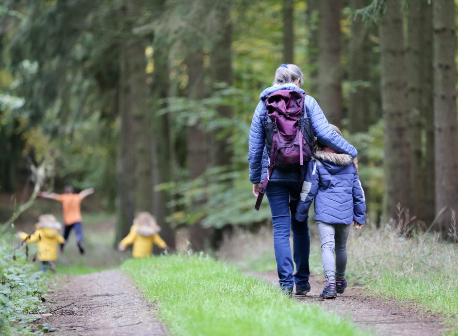 Aikuinen ja lapset kävelevät metsäpolulla.