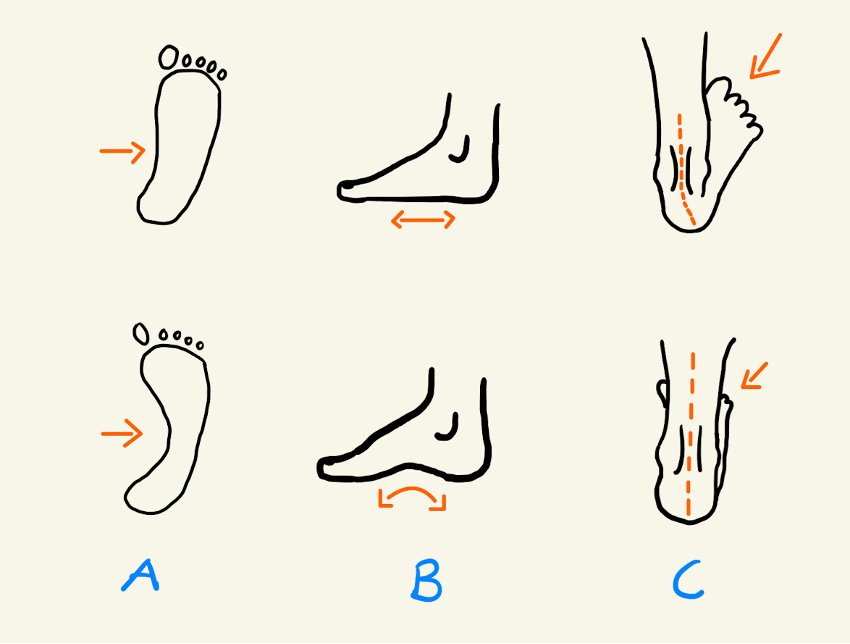 Lattajalan määritelmä