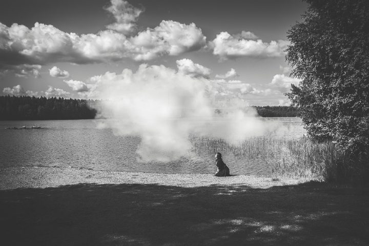 Kuva "Häpeä joka peitti taivaan" Milja Veini