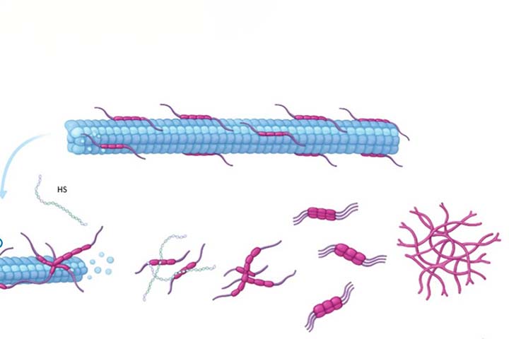 piirretty TAU-proteiinin kuva