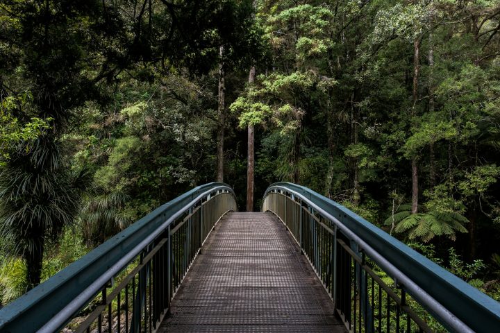Puinen silta metallikaiteilla, joka johtaa metsään